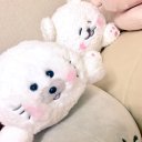 さーや (@05020852_) Twitter