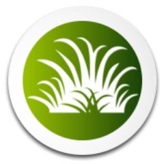 Teamgrassmaster's profile picture. 