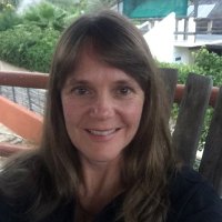 Bridget Walshe (@bridgetwalshe) 's Twitter Profile