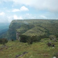 HerbierGuinee (@herbierguinee) 's Twitter Profile Photo HerbierGuinee (@herbierguinee) 's Twitter Profile Photo