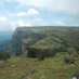 HerbierGuinee (@herbierguinee) Twitter profile photo HerbierGuinee (@herbierguinee) Twitter profile photo