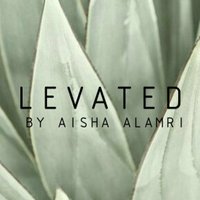 Levated(@levated) 's Twitter Profile Photo