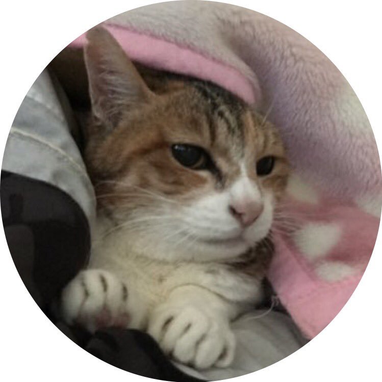 猫と猫好きとが共にくつろげる場所、一緒に作りませんか？ 猫の殺処分:45,574(平成28年度) 行き場がなくて困っている猫と「猫は好きだけれど飼えない」という人との、互いのミスマッチを解消する空間を作りましょう。神奈川の大学生を中心に、有志を募っております。興味のある方は是非ご連絡ください。