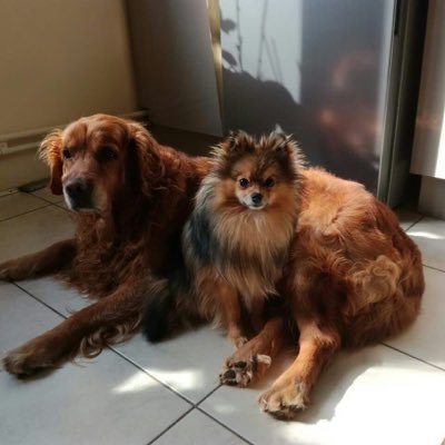 liangxianzhang's profile picture. 