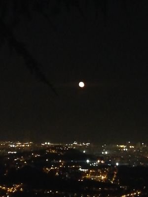 annavallsm's profile picture. Ens en sortirem. Segur!