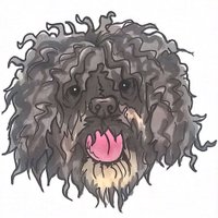 Salty Old Sea Dog (@saltyseadogcho) 's Twitter Profile Photo