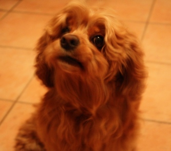 Milko_'s profile picture. 