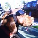 Felicity Gardner - @Boombalatta - Twitter