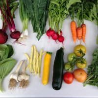 Veganâ“‹ (@islandvegans) 's Twitter Profile Photo Veganâ“‹ (@islandvegans) 's Twitter Profile Photo