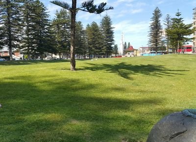 mangam2014's profile picture. 