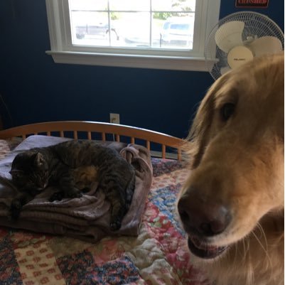 2_passitforward's profile picture. Laugh, love and do something nice for a stranger every day!