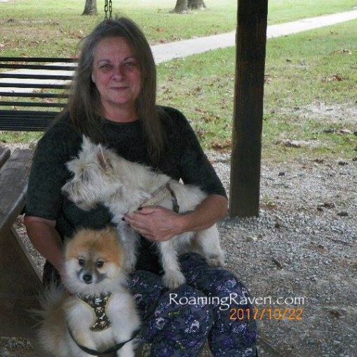 Paranormal Suspense author - RV living full time with dogs