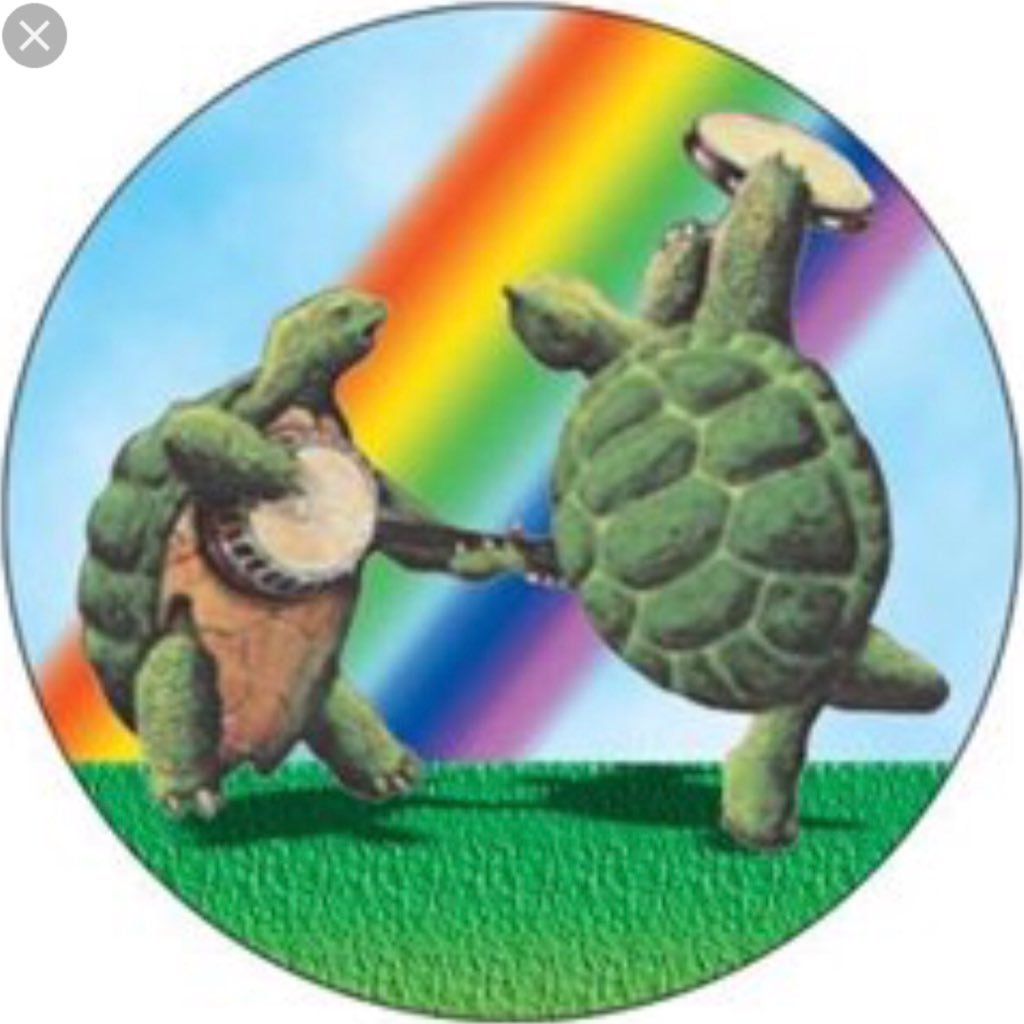 HPTurtleTeacher Profile Picture