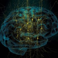 Your Digital Mind (@yourdigitalmind) 's Twitter Profile