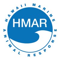 Hawaii Marine Animal Response (HMAR) (@himarineanimal) 's Twitter Profile