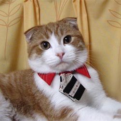 HacktrixReach's profile picture. Existen dos tipos de personas. Aquellas que entienden memes.