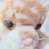 ( ね こ )🐈 (@neko4_7) 's Twitter Profile Photo ( ね こ )🐈 (@neko4_7) 's Twitter Profile Photo