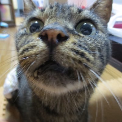 373さんのプロフィール画像