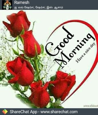 SAKTHI809's profile picture. 