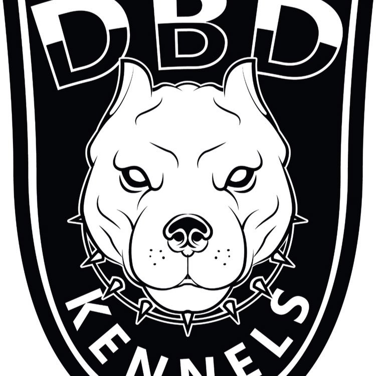 dbdkennels's profile picture. Death Before Dishonor! American bully breeder est 2009 Champion and Grand-champion ABKC Reg shipping is available world wide contact us at Dbdkennels@aol.com