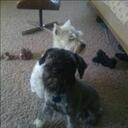 wendy willard - @nyncagurl - Twitter