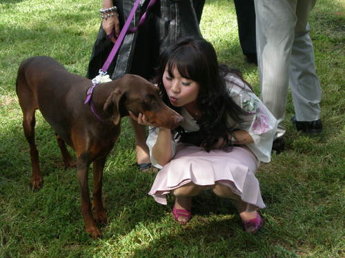 irislisle's profile picture. mummy.wifey.foodie.