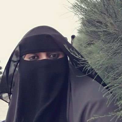 ftmashra's profile picture. 