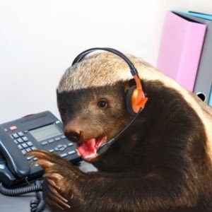 I Taught all the honey badgers what they know. Me. I am their teacher.Esketit IFB