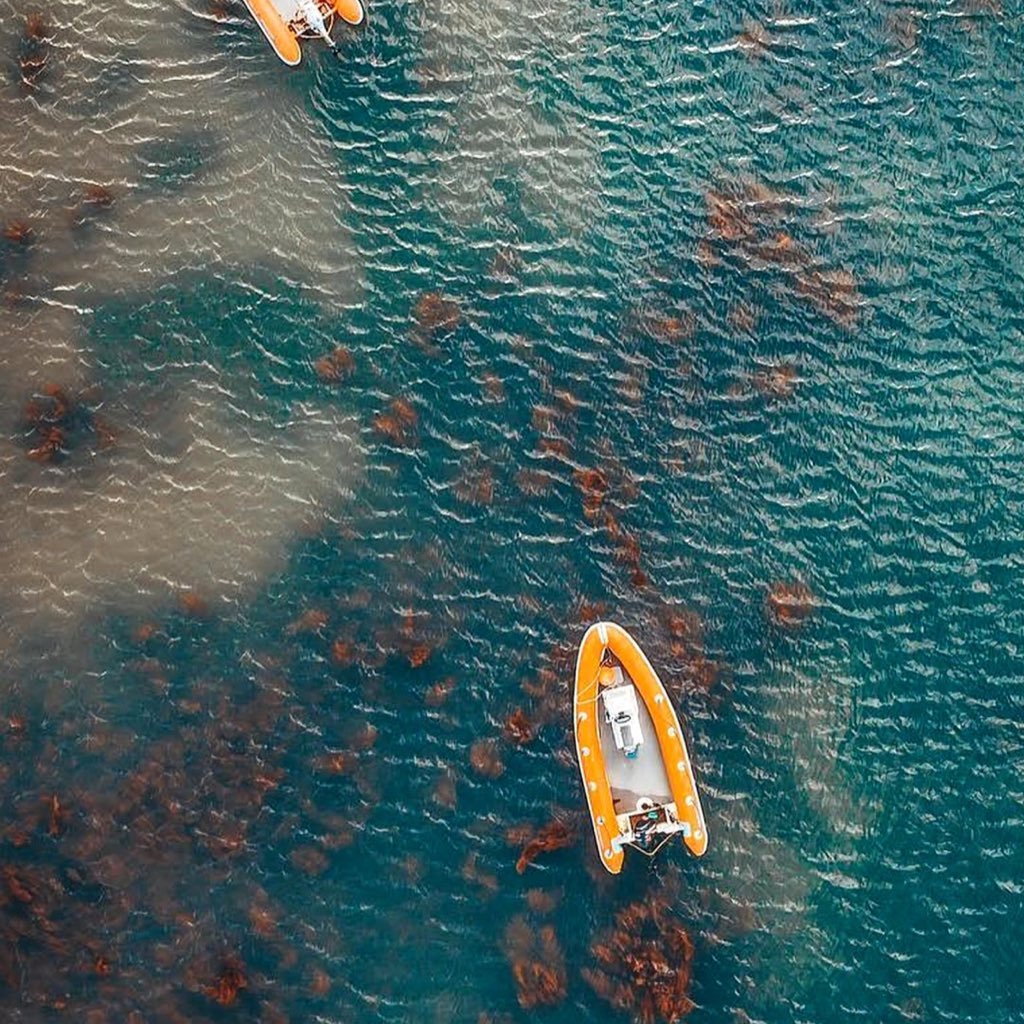 jiangfan2's profile picture. 