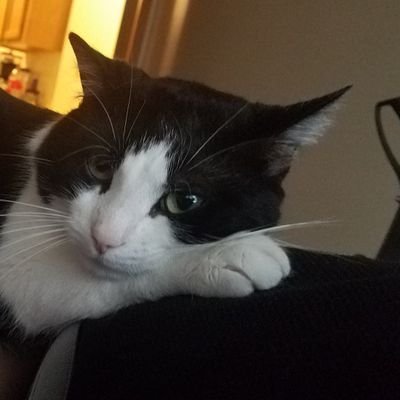 ImCrawz's profile picture. Streamer and youtuber. youtube= https://t.co/al3gDFWUTQ… twitch= https://t.co/5pUz7ISb1f