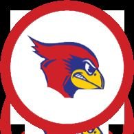 LadyCardsBball Profile Picture