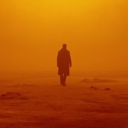 OtroReplicante8's profile picture. 