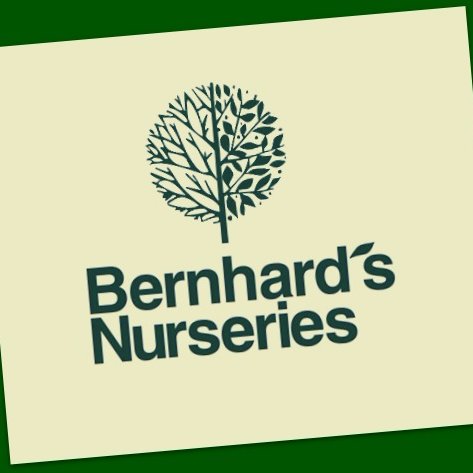 Bernhard's Nurseries Ltd producing the finest nursery stock since 1948 in the heart of the UK. #peatfree growers. #taupepots #ukgrowers