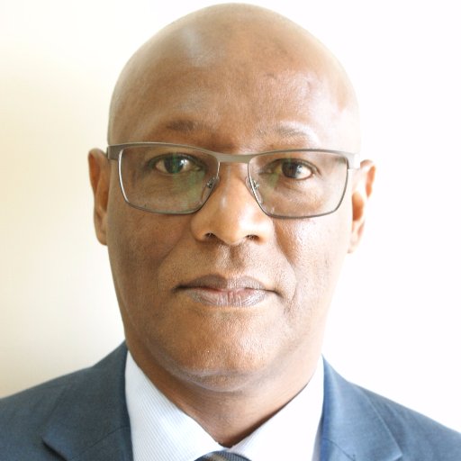 Professeur de Droit Public et Science Politique