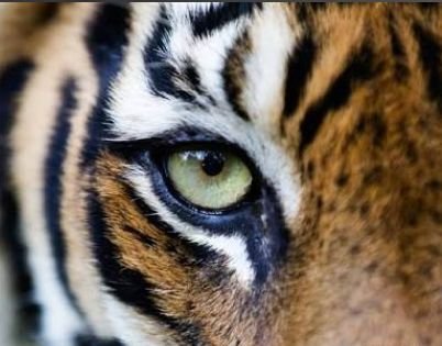 PPowermax's profile picture. 