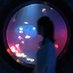 Rebecca Li (@solsticestone) Twitter profile photo