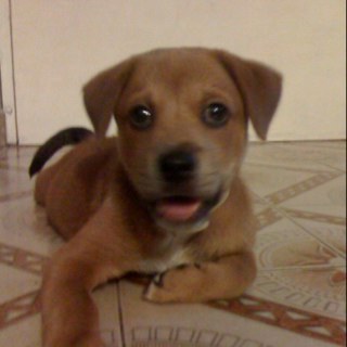 turey007's profile picture. 