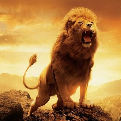 Valluvar_Magan's profile picture. நான் ஒரு எதார்த்தவாதி✍