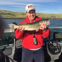 Tim Steffensen (@timsteffensen1) 's Twitter Profile