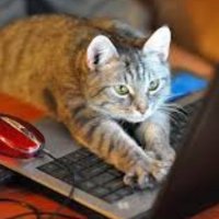 Pati Dayanışma (@patidayanisma_) 's Twitter Profile Photo