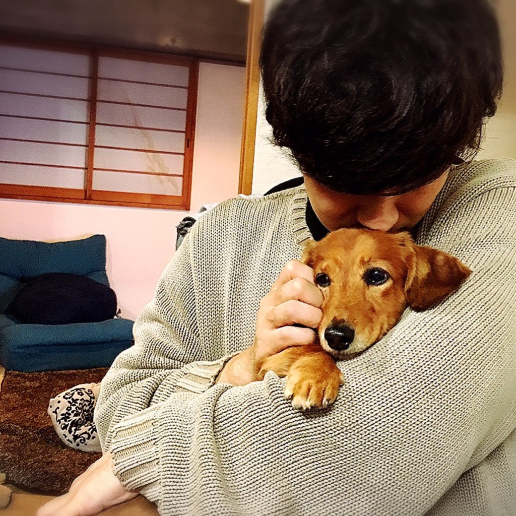 WOW_RONDE's profile picture. 