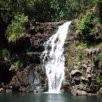 Waimea Valley(@WaimeaValley) 's Twitter Profile Photo