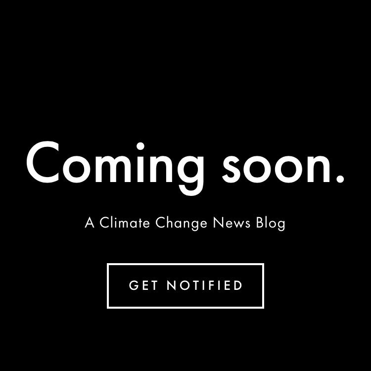 susworldinfo's profile picture. 