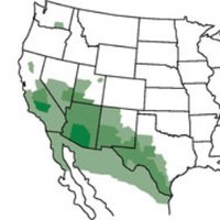 UC Davis Cocci Lab (@valleyfeverlab) 's Twitter Profile