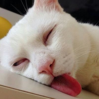 DasNear's profile picture. 