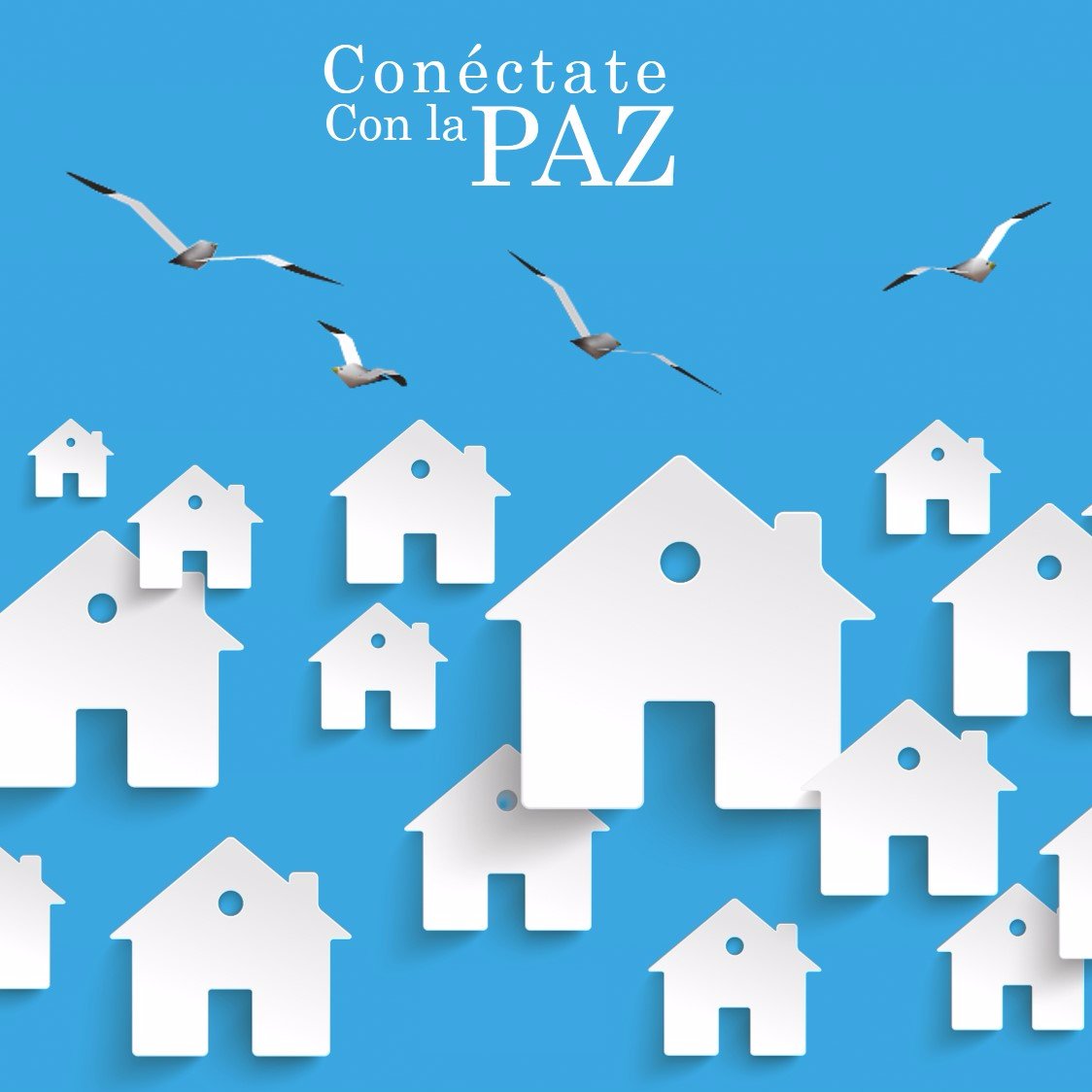 PazConectate's profile picture. Este es el espacio dónde encontrarás todos los servicios que ofrece, brinda y proporciona para los habitantes del Barrio La Paz