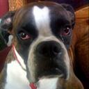 Christine Ramey - @wildthing61754 - Twitter