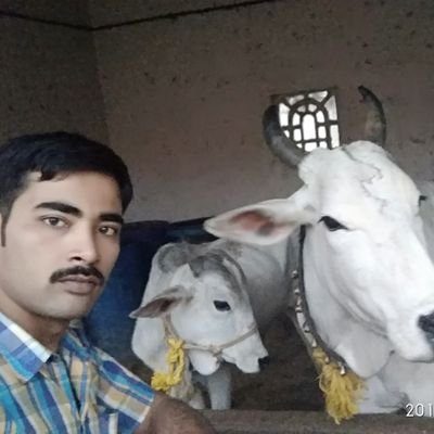 Sampavikram's profile picture. ಹರೇರಾಮ
