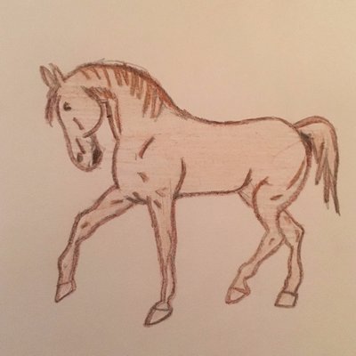 Boxer The Horse (@Boxertheworker1) / Twitter