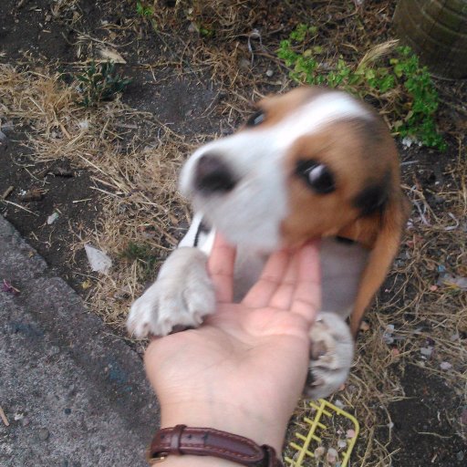 belencita_ww's profile picture. 